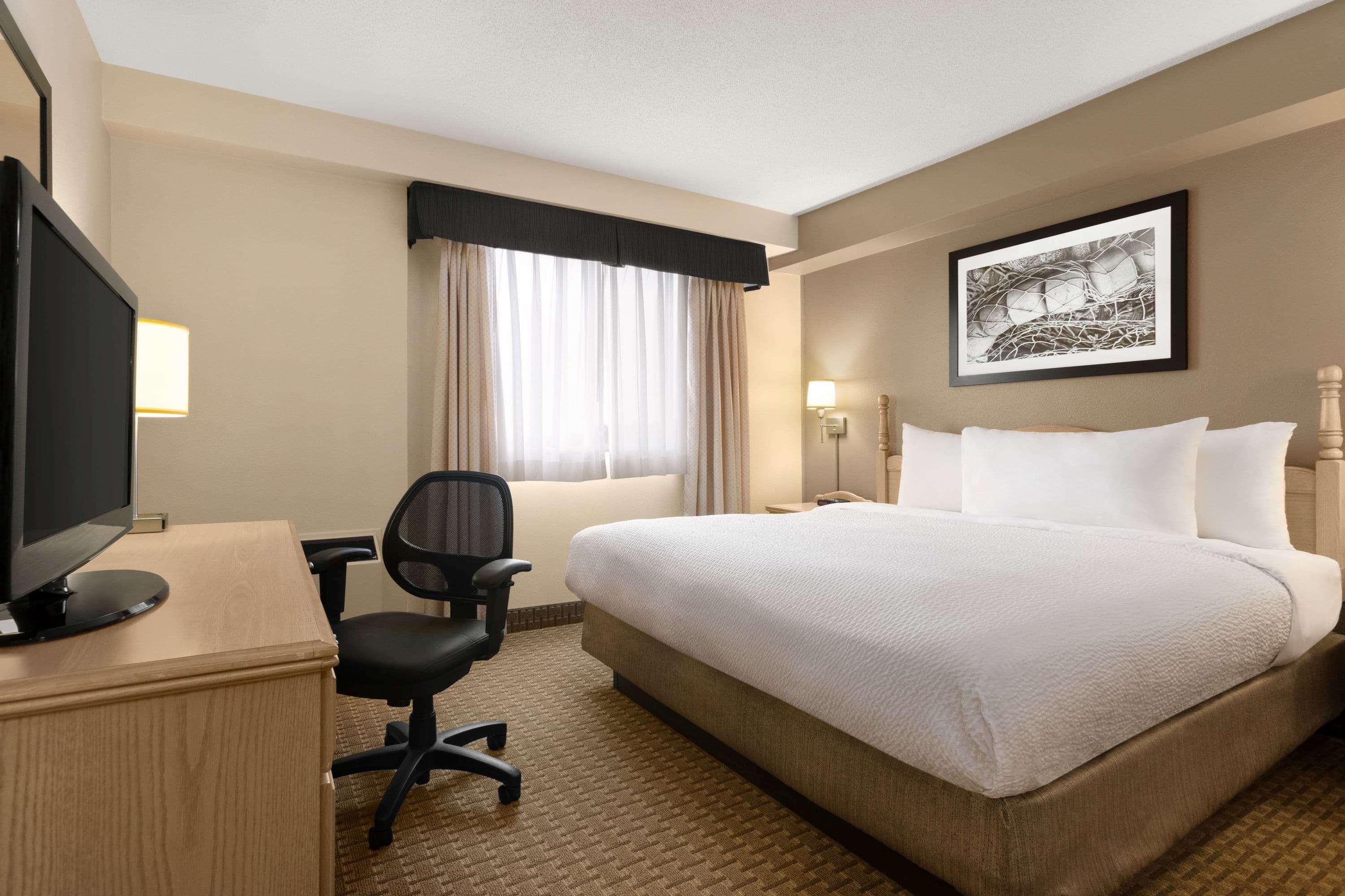 ทราเวลลอดจ์ สวีท บาย วินด์แฮม มองค์ตัน Hotel มองก์ตัน ภายนอก รูปภาพ