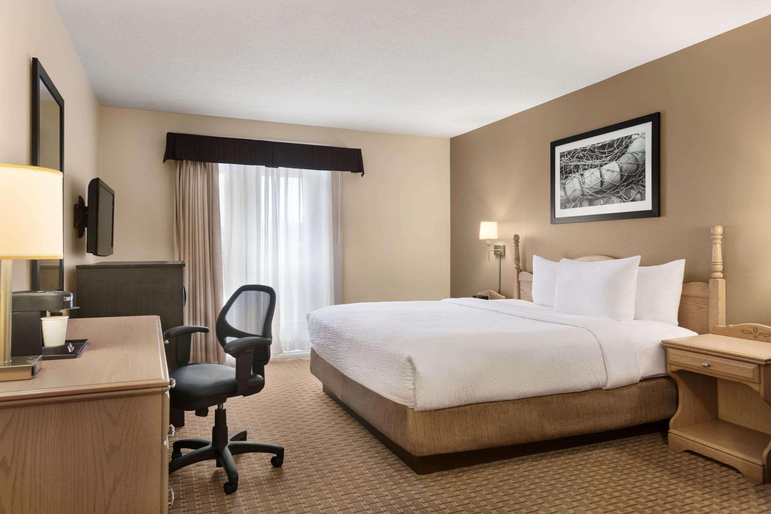 ทราเวลลอดจ์ สวีท บาย วินด์แฮม มองค์ตัน Hotel มองก์ตัน ภายนอก รูปภาพ